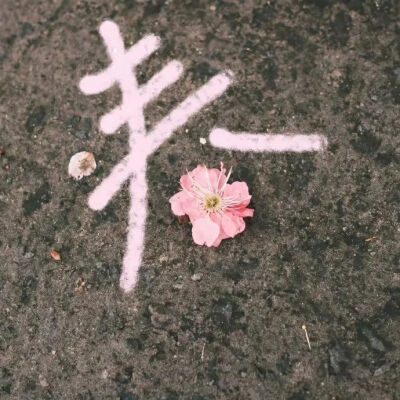 椿
