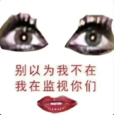 表情包【别以为我不在 我在监视你们】