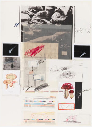 Natural History Part I,Mushrooms-Plate X,1974,Lithograph,grano-lithograph and collotype in colors with collage and hand-coloring in crayon,on Rives Couronne paper,73.7×55.9cm