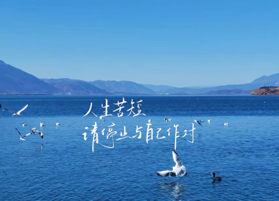 侵权删