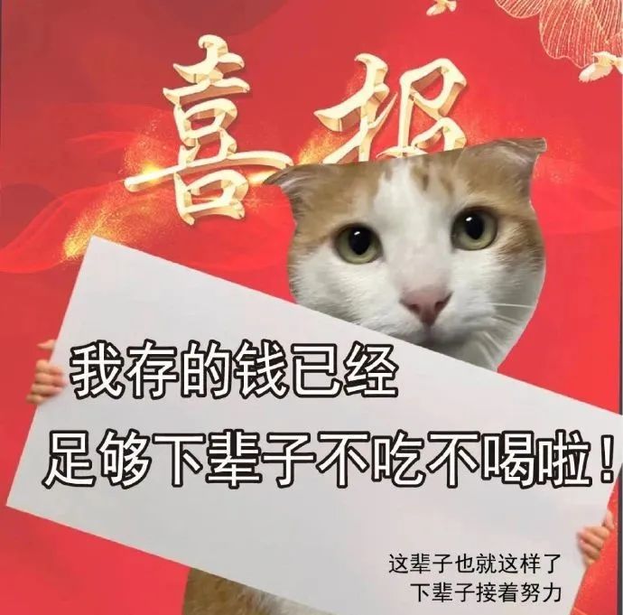 猫猫表情包