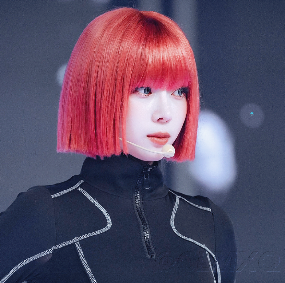 金玟庭丨金冬天
vb椿恋米熊曲