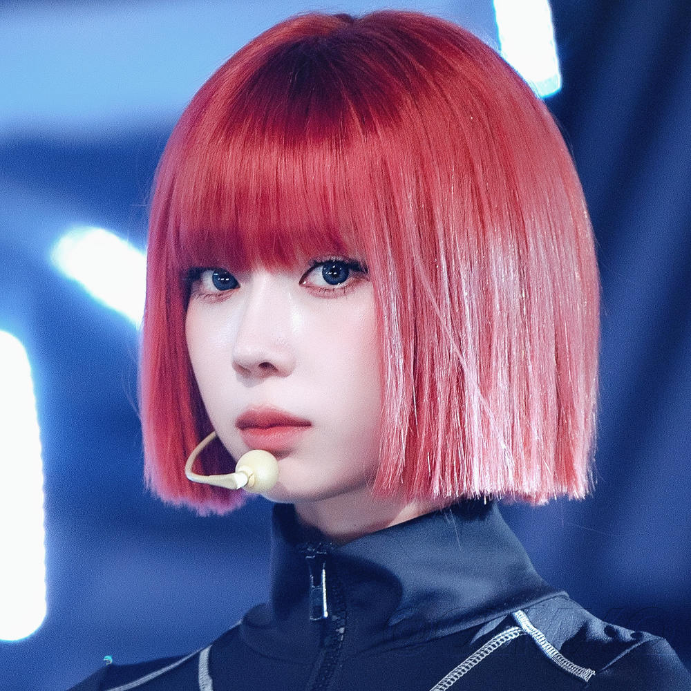 金玟庭丨金冬天
vb椿恋米熊曲