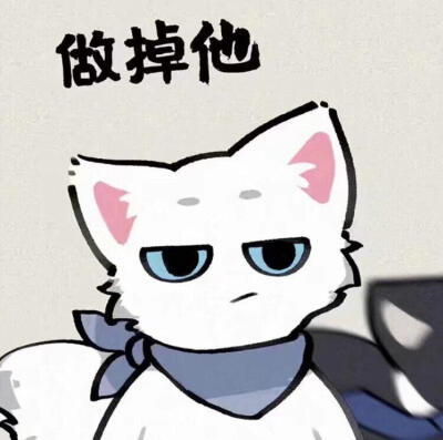 猫猫情头