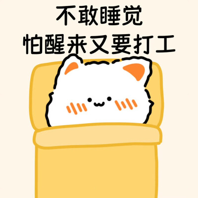 无事小猫