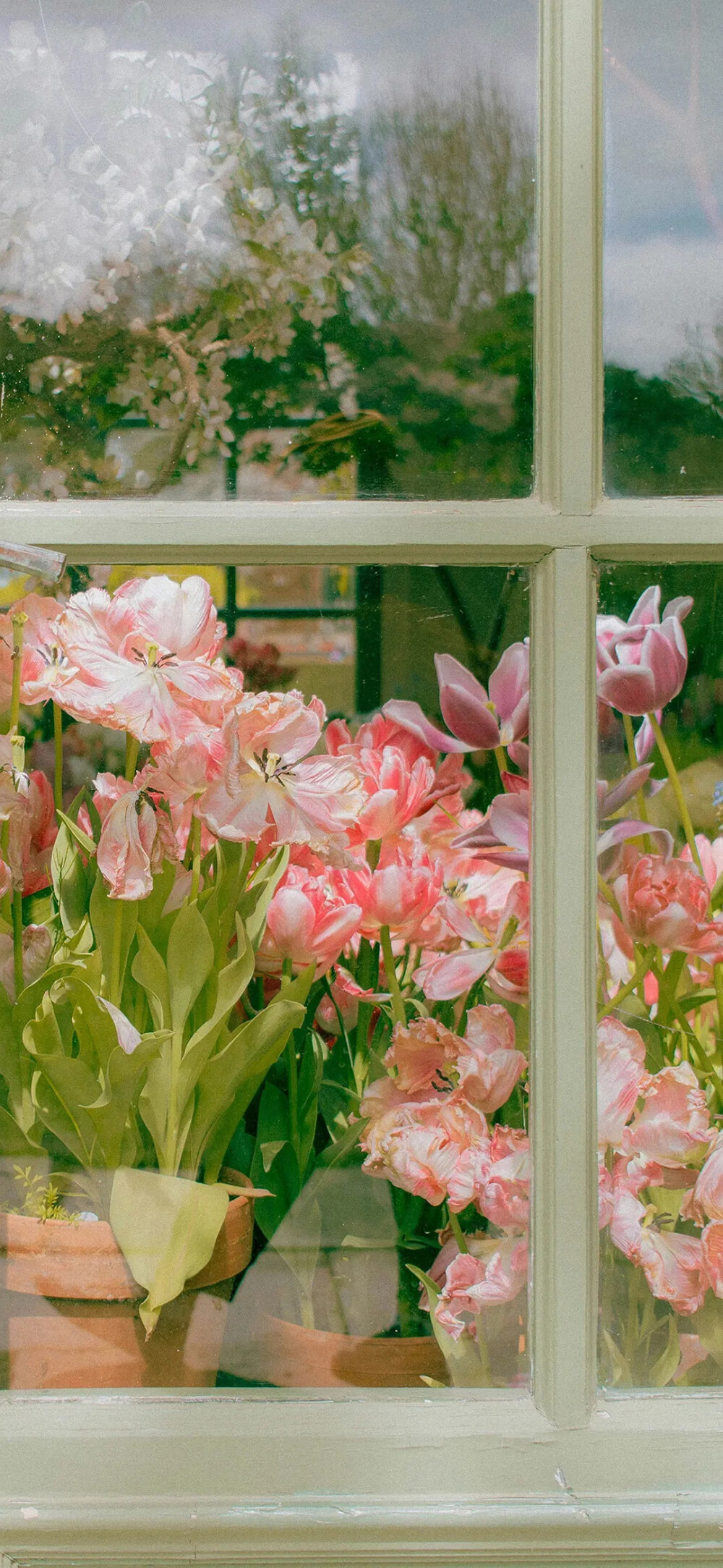花壁纸