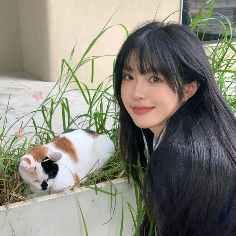 头像·图源微博