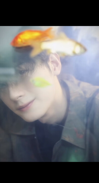 陈鹤一