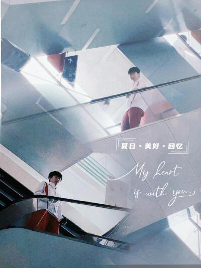 莎头