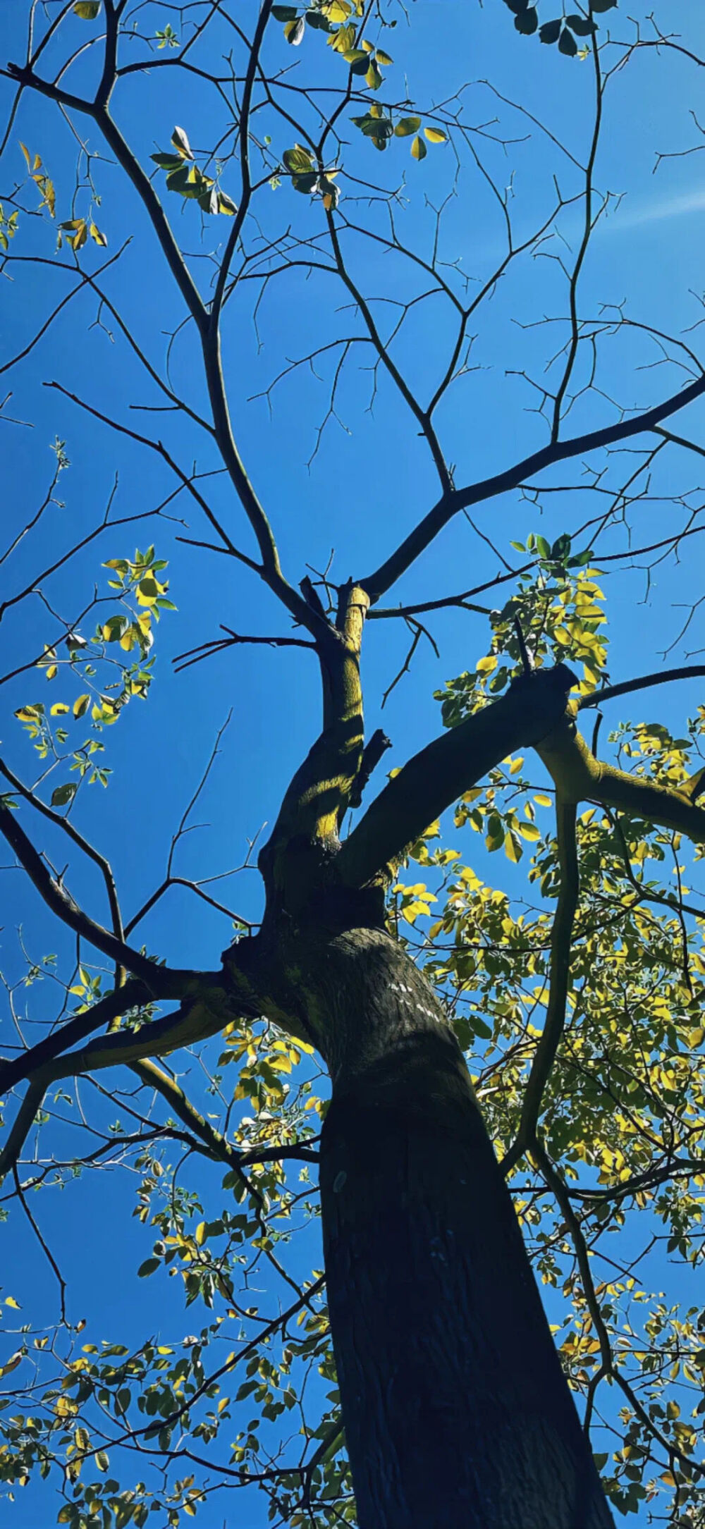 幸福秘诀 吃饱 然后躺下