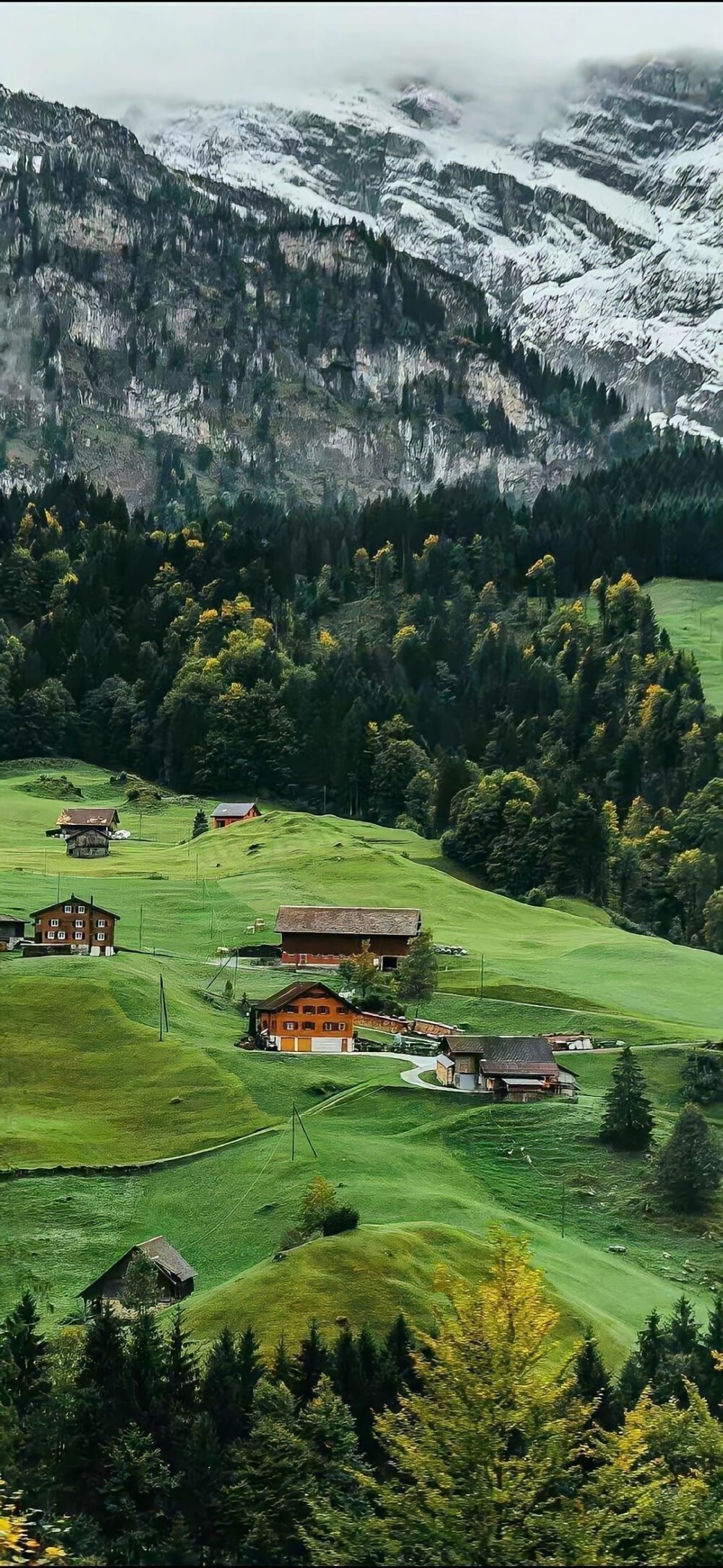 “今天很好 我很喜欢今天”