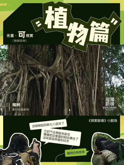 王一博《探索新境》小剧场