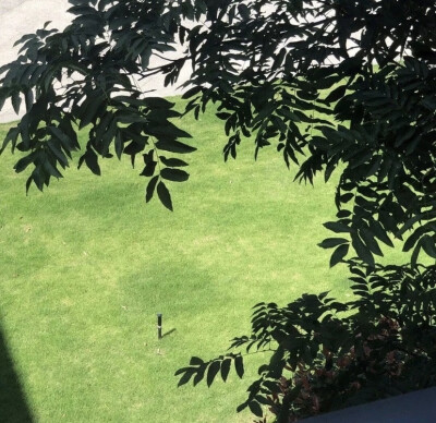 绿