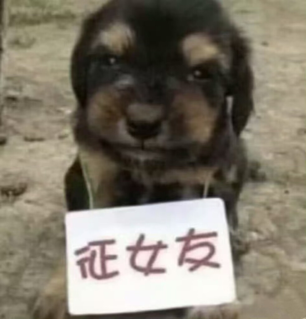 日日烧香求后女友降临