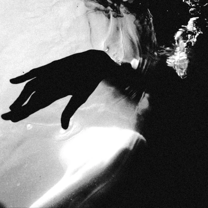 
黑猫隐藏起气息 古色城堡上高挂公爵的心脏