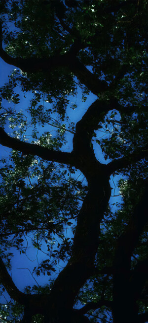 幸福秘诀 吃饱 然后躺下