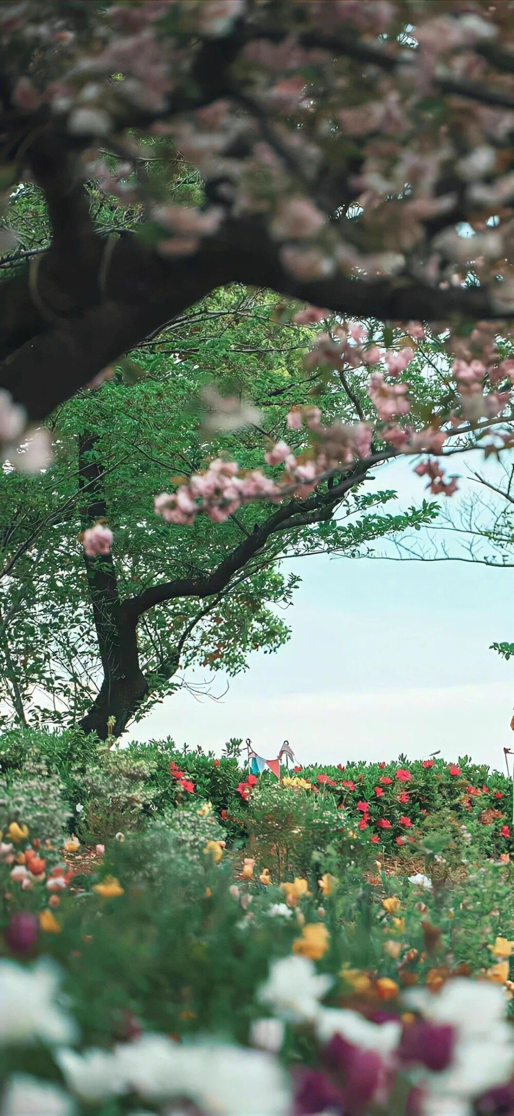 幸福秘诀 吃饱 然后躺下