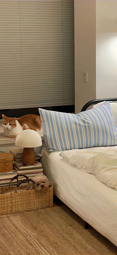 “今天很好 我很喜欢今天”