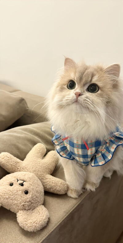 “今天很好 我很喜欢今天”