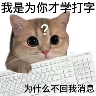 Share｜搞笑聊天表情包
-