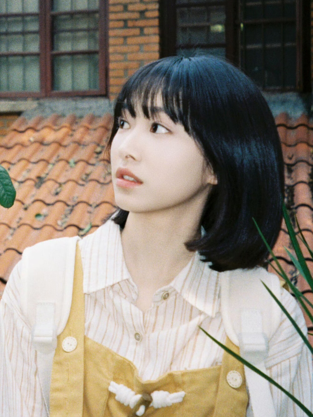 杨肸子