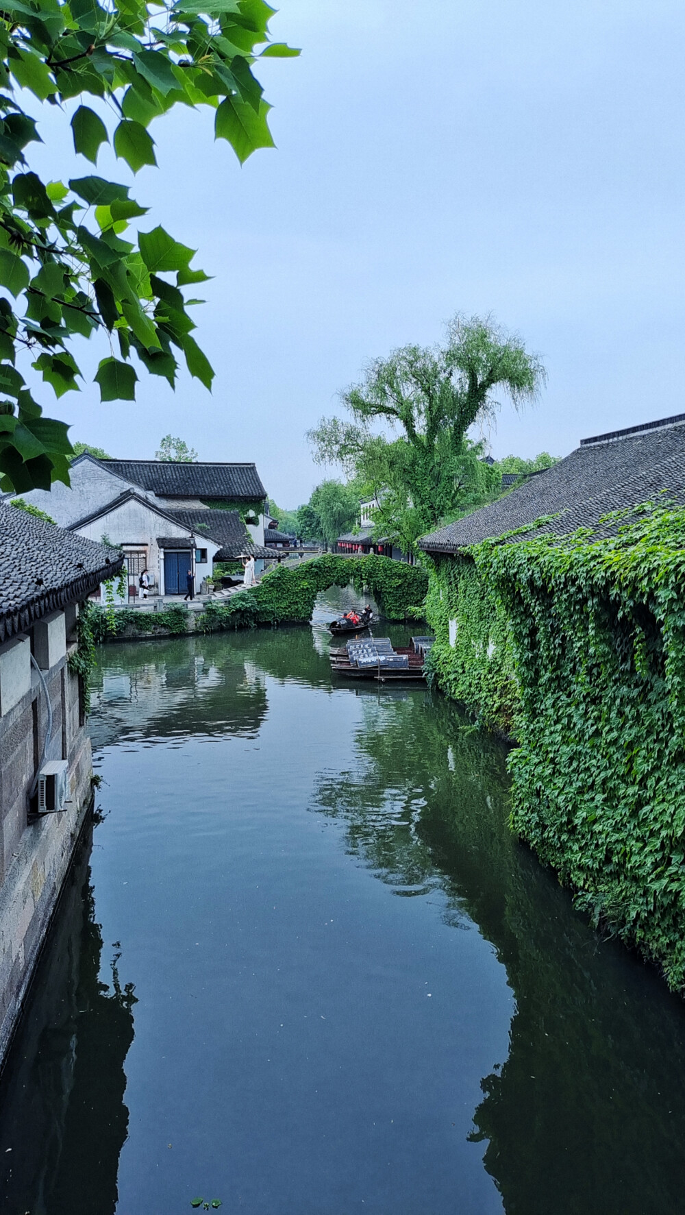 瞧：柯岩河道