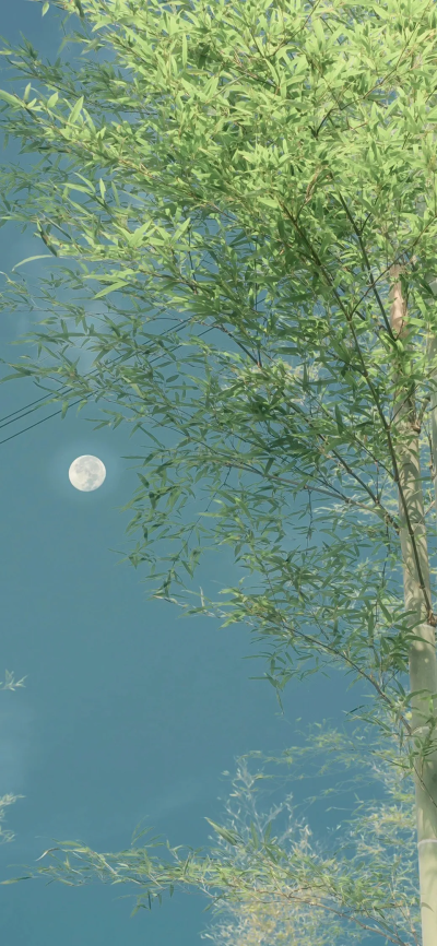 竹子