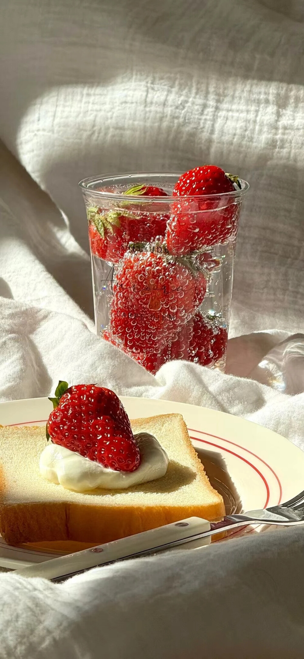 红色系ins风壁纸