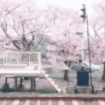 春意渐浓