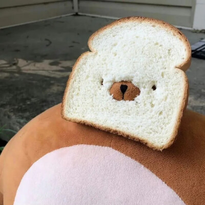 毛茸茸