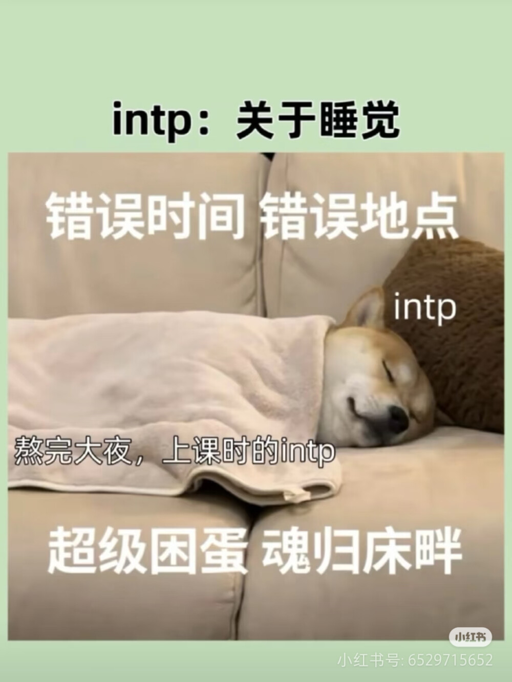 intp梗图