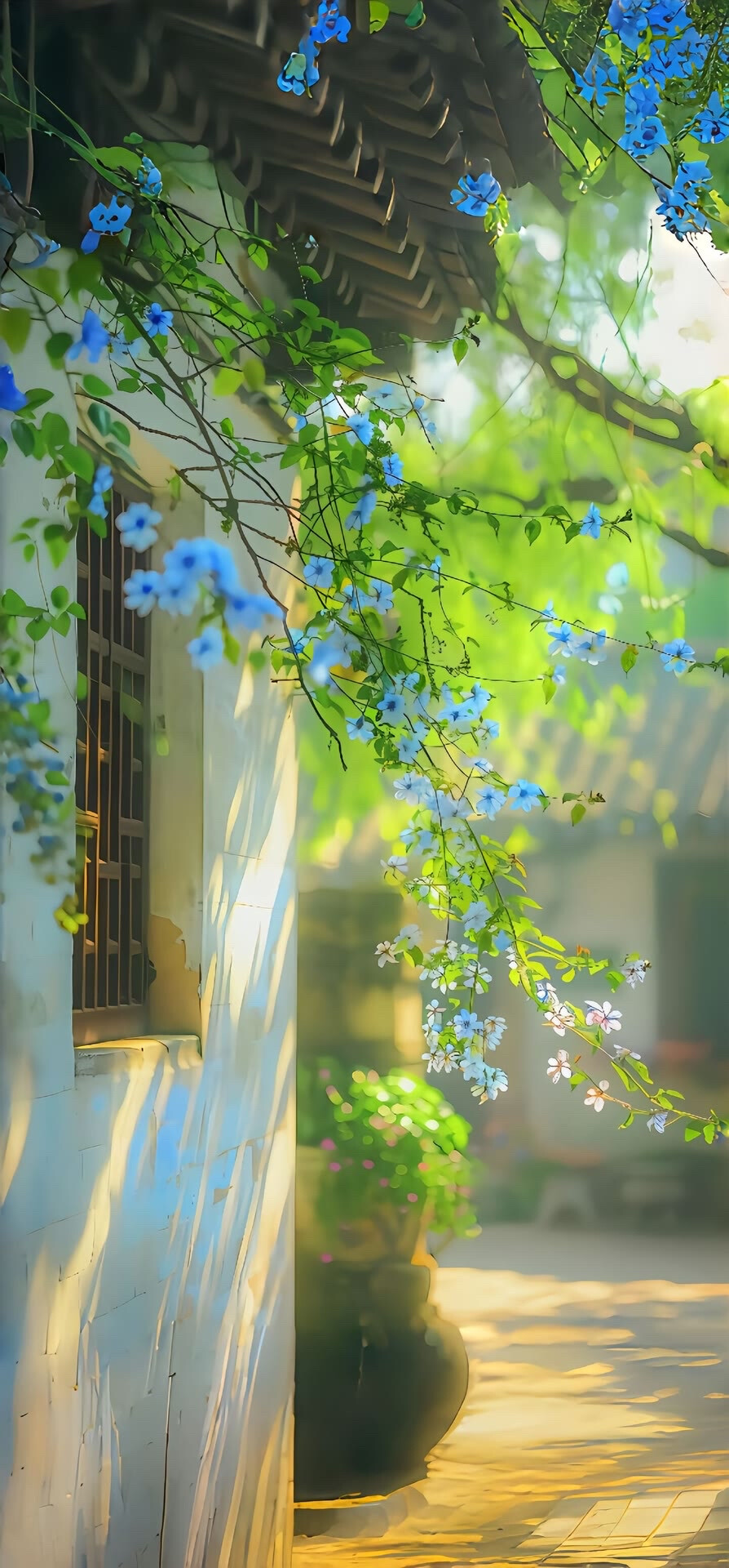 壁纸