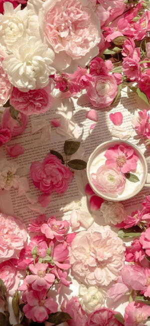 奶树暖羊：壁纸