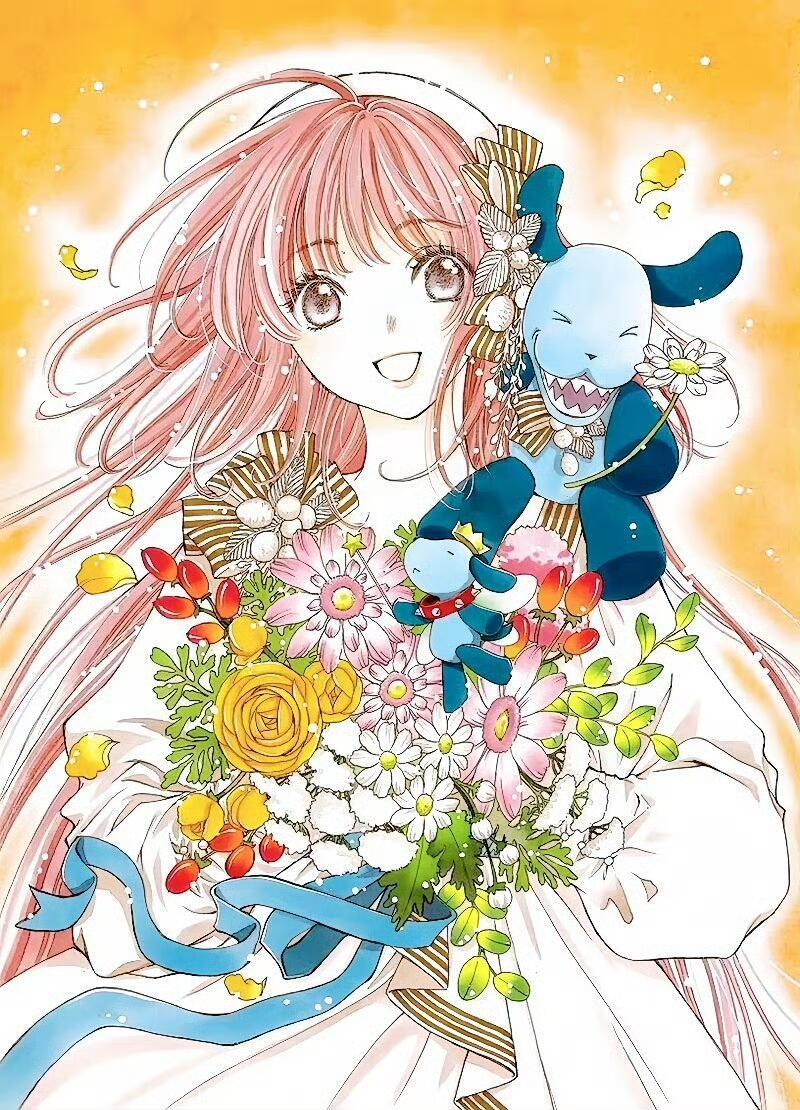 图源小红薯：樱花兔