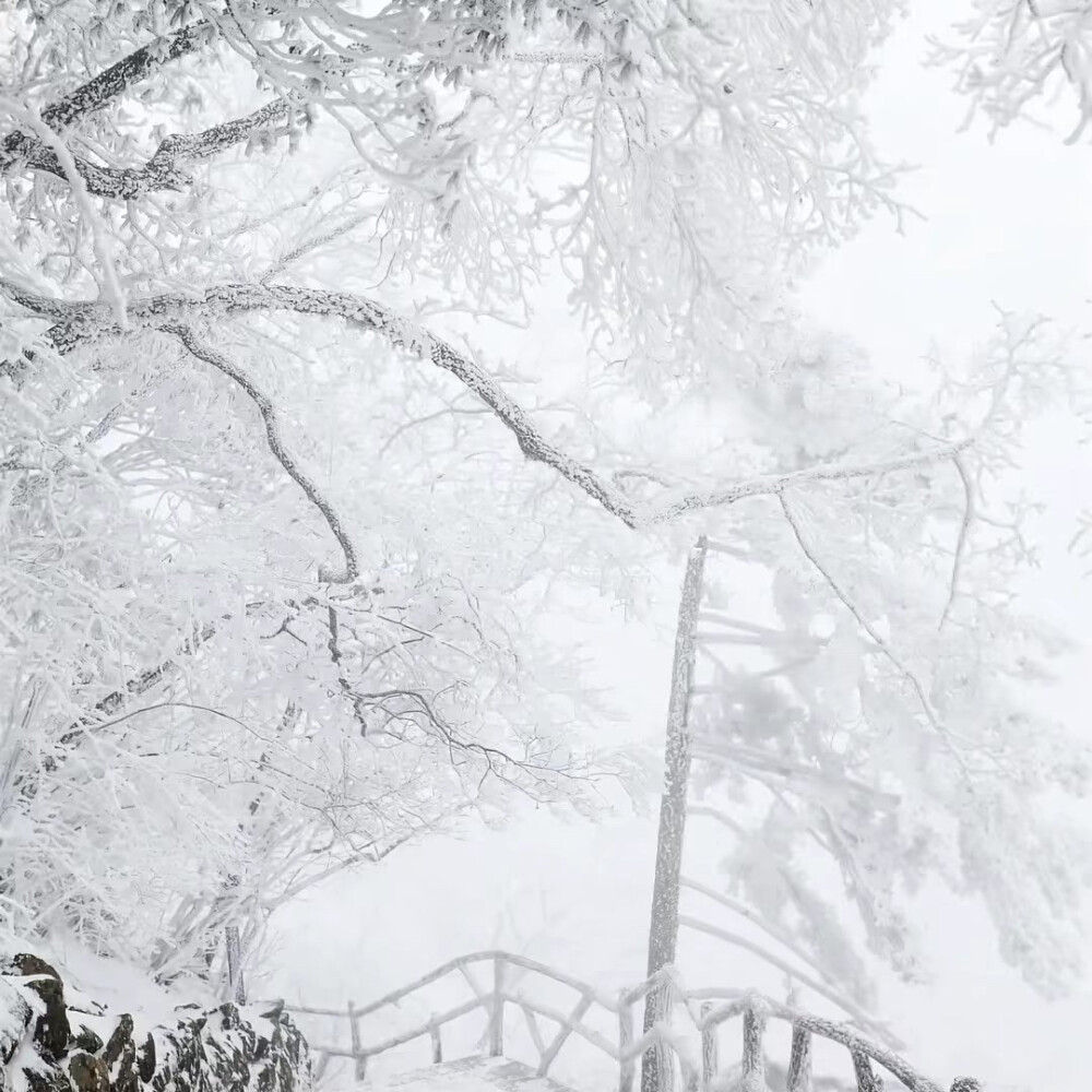 雪一片一片一片一片~