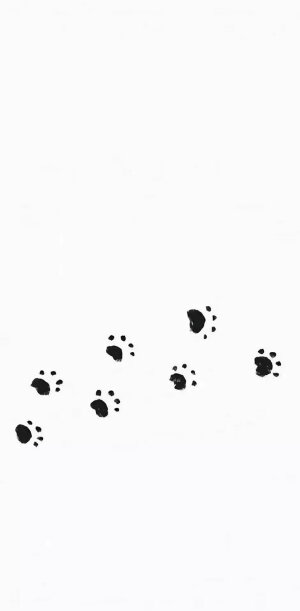 二转手机壁纸/.

喜欢就点赞收藏叭/.