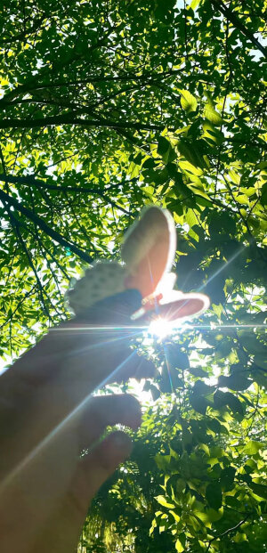 二转壁纸/.

喜欢就点赞收藏叭/.