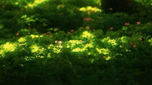 二转壁纸/.

喜欢就点赞收藏叭/.