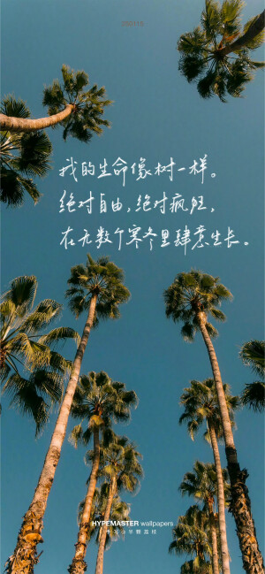 文字壁纸/
cr.@半颗荔枝i