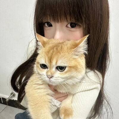 ins女头
小猫起司ovo 熊婧丹