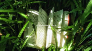 二转壁纸/.

喜欢就点赞收藏叭/.