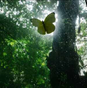 二转壁纸/.

喜欢就点赞收藏叭/.