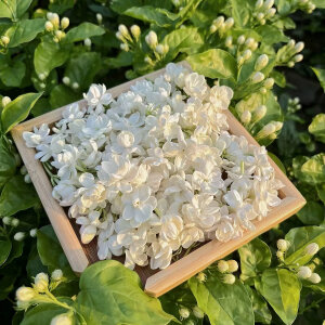 二转壁纸/.

喜欢就点赞收藏叭/.