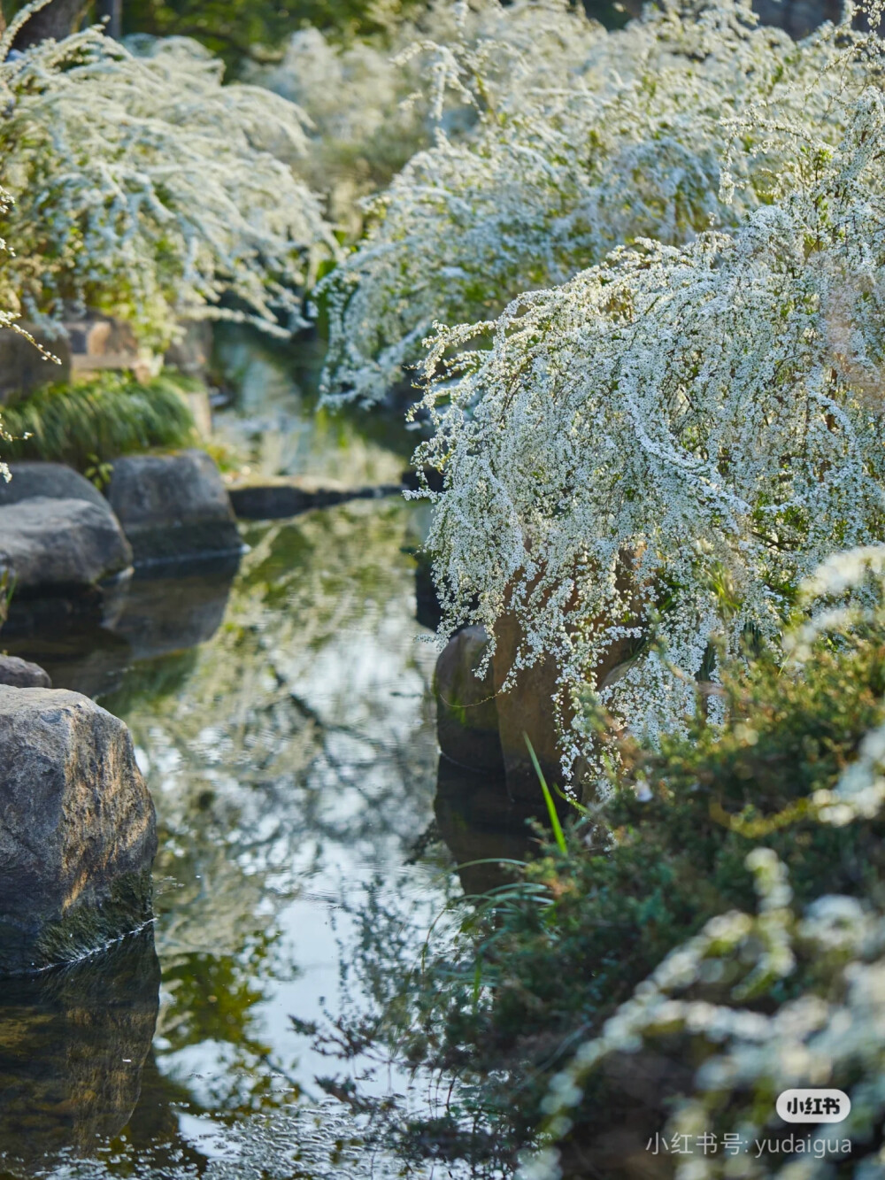 最美风景