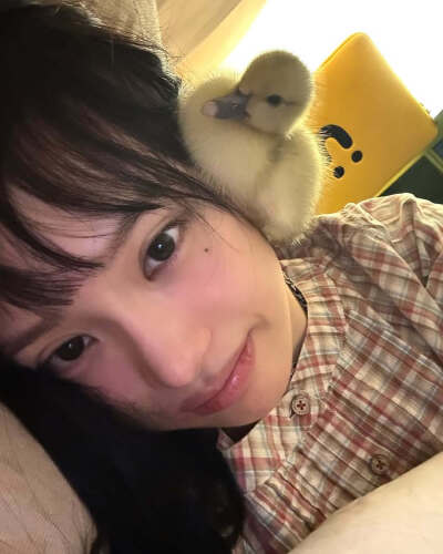 柳多恋