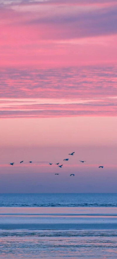 风景壁纸