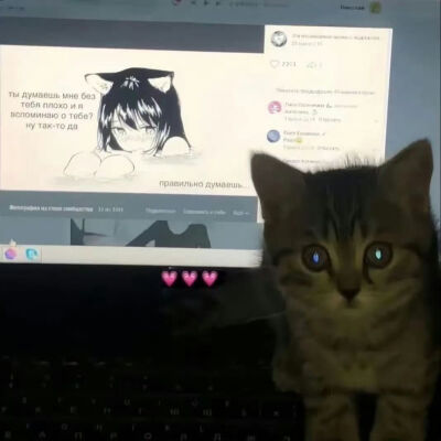 喜欢慢悠悠的日子和真诚的人。