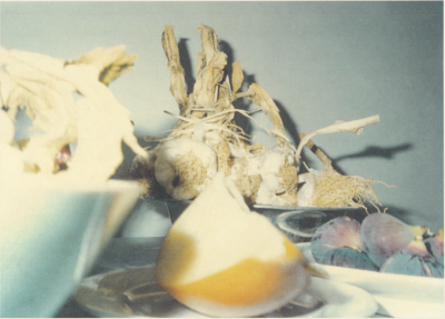 Still Life,Negative1997,print2008,Electrophotograph,26×36.4cm