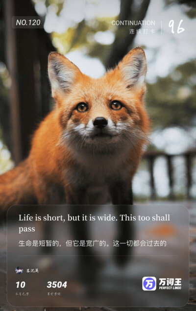 英语