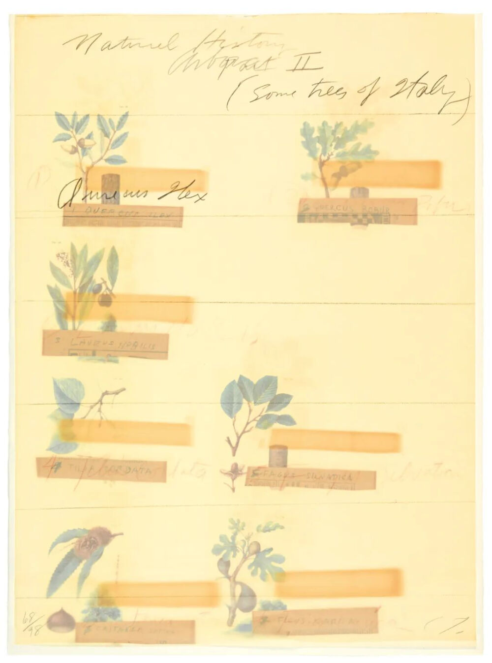 Natural History Part II,1975-76,The complete set of eight lithographs-1,grano-lithographs,and collotypes in colors,on Fabriano Bütten paper,75.9x56.3cm